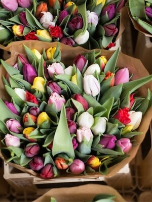 Tulip Bouquet