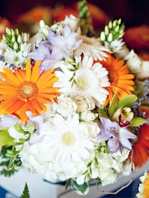 Gerber Daisies Bouquet